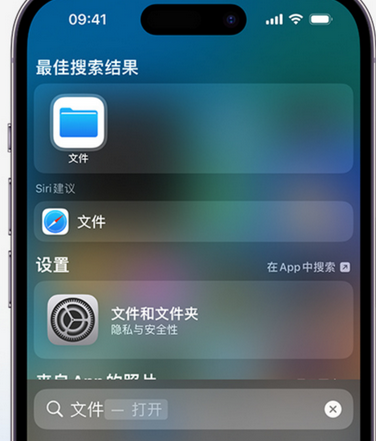 杨林街道apple维修中心分享iPhone文件应用中存储和找到下载文件