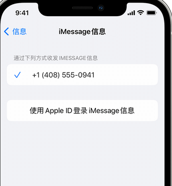 杨林街道apple维修iPhone上无法正常发送iMessage信息 