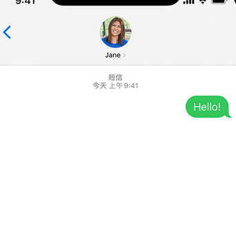 杨林街道apple维修iPhone上无法正常发送iMessage信息