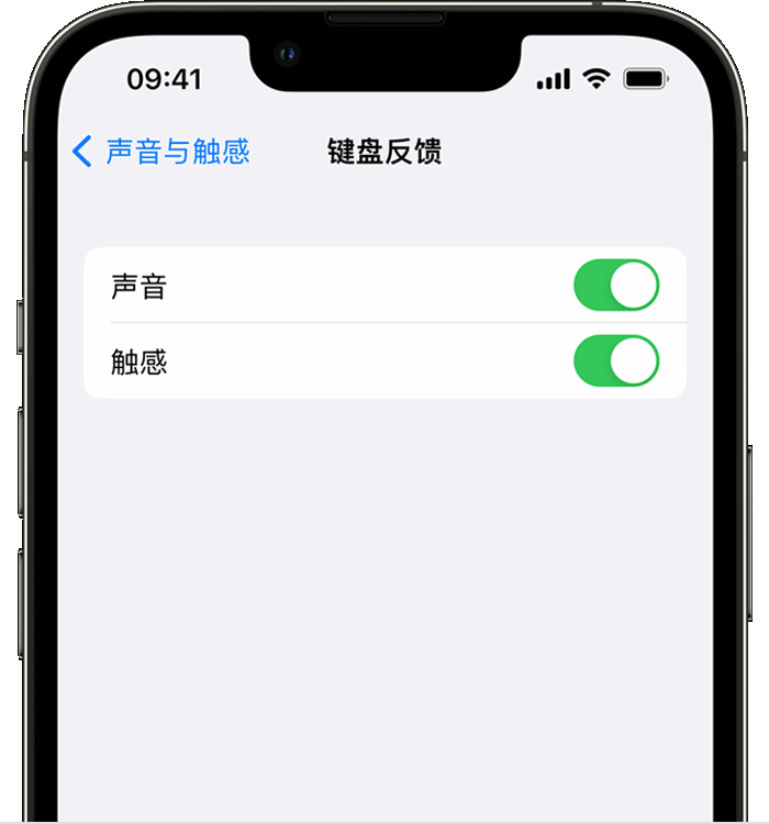 杨林街道苹果14维修店分享如何在 iPhone 14 机型中使用触感键盘 