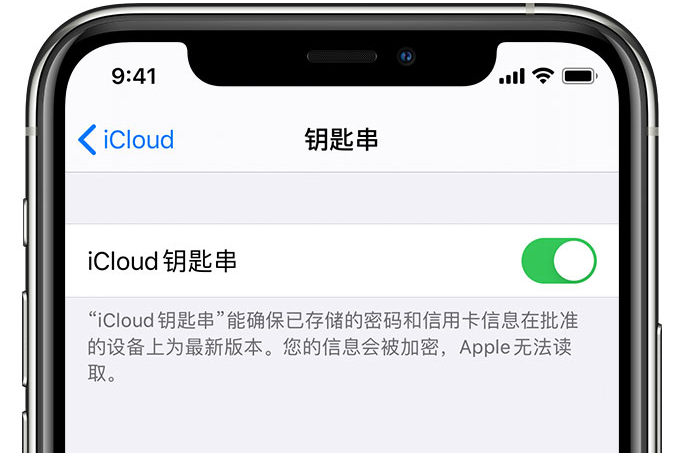 杨林街道苹果手机维修分享在 iPhone 上开启 iCloud 钥匙串之后会储存哪些信息 